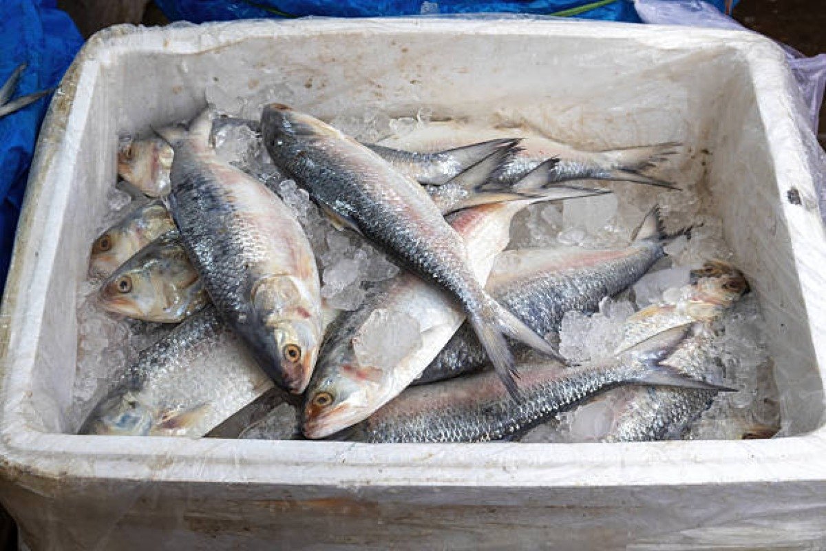Fish & Aquaculture