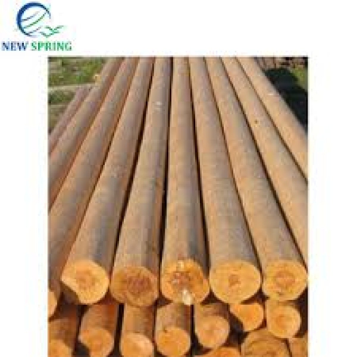 Timber & Poles