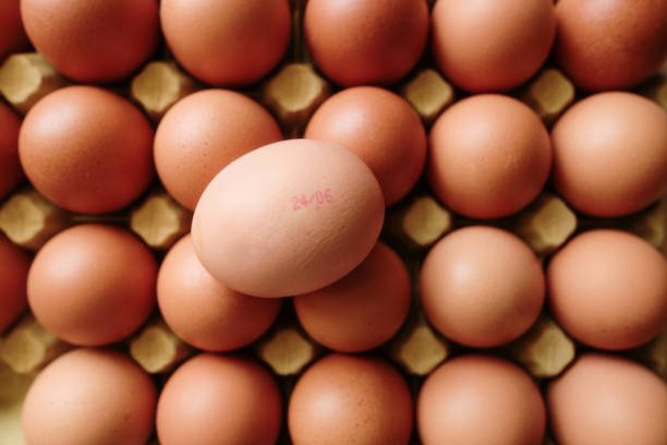 Fresh Eggs (Tray)