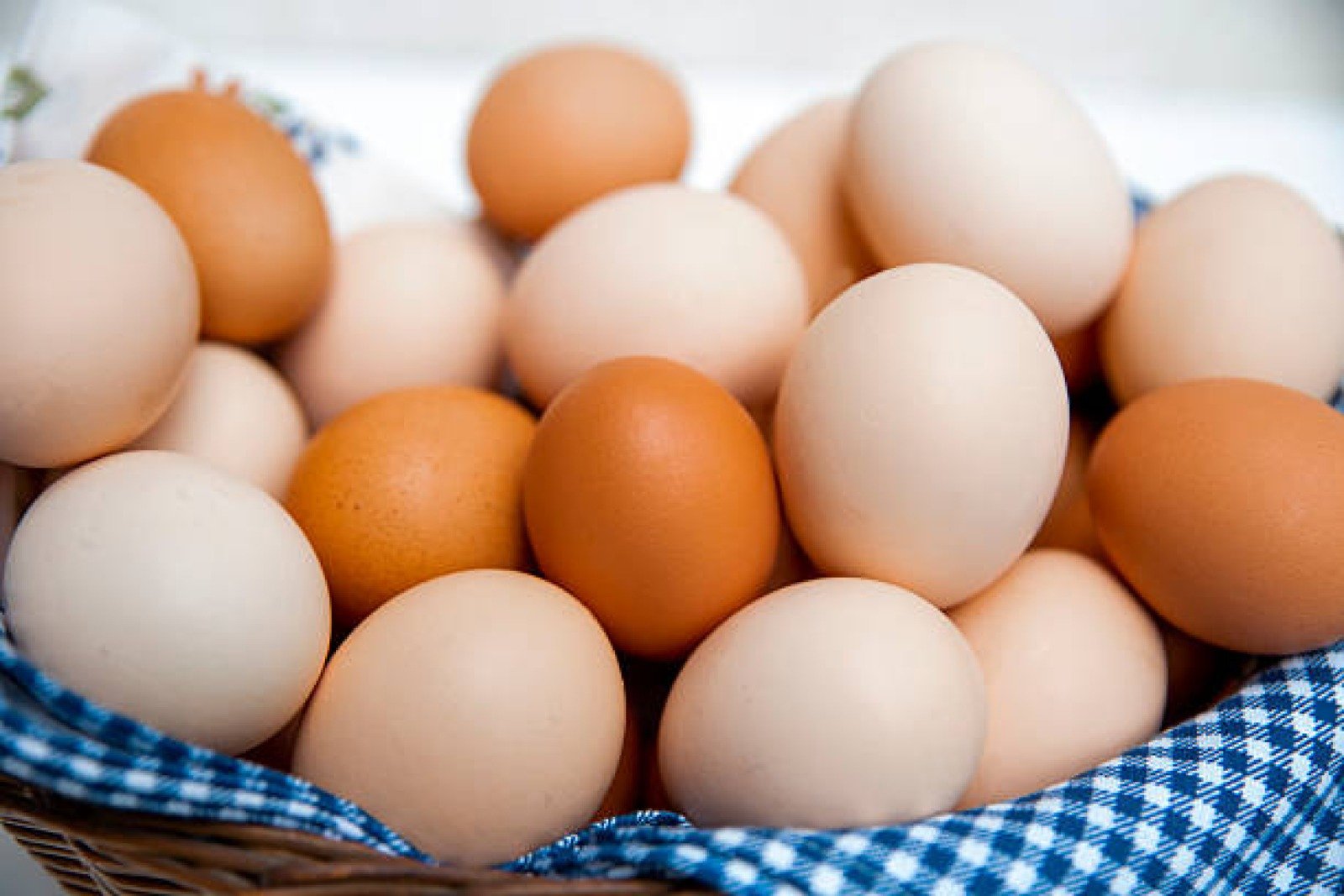 Fresh Eggs (Tray) photo 2