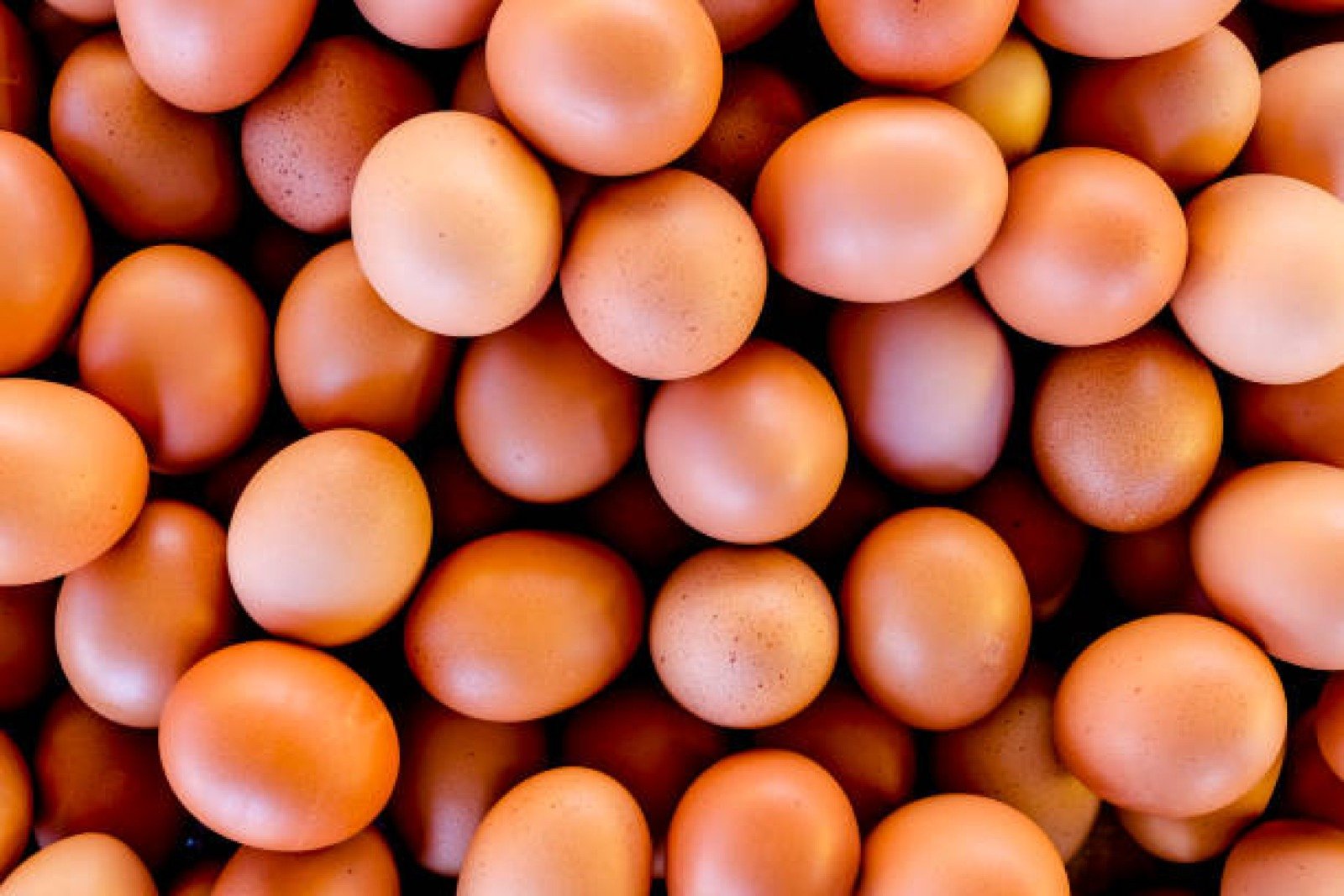Fresh Eggs (Tray) photo 3