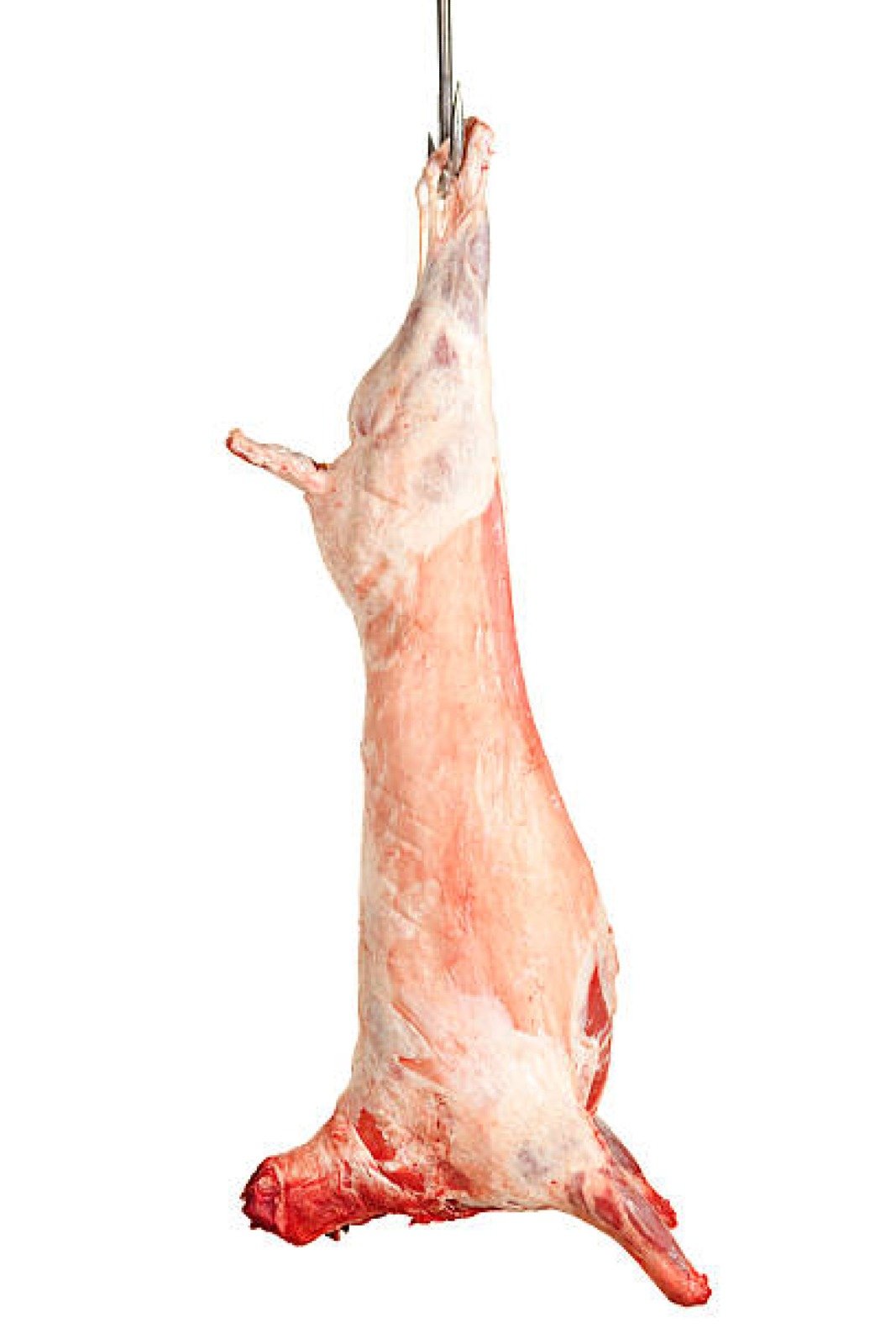 Full goat  photo 2